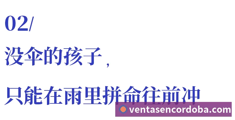 平台展示图