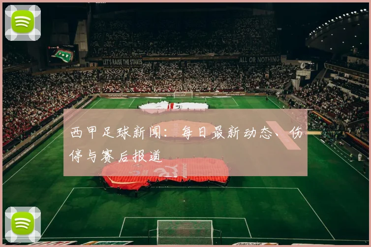 MKsports-科莫足球俱乐部入口